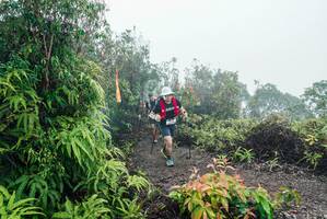 BIB: 
                            <button type="button" onclick="openModal(26272570)" class="btn btn-primary btn-sm float-right btn-popup" data-toggle="modal" data-target=".modal-high-quality">
                        <i class="fas fa-shopping-cart"></i> Add to Cart
                    </button>
                                            <button type="button" onclick="isThisMe(26272570, true)" class="btn btn-success btn-sm float-right btn-popup btn-isme hidden" data-toggle="tooltip" data-placement="bottom" title="นี่คือรูปของคุณใช่ไหม คลิกที่นี่เพื่อเอาเข้าอัลบั้ม">
                        <i class="fas fa-plus"></i> Add to album
                    </button>
                    <button type="button" onclick="isThisMe(26272570, false)" class="btn btn-warning btn-sm float-right btn-popup btn-isnotme hidden">
                        <i class="fas fa-ban"></i> Remove from album
                    </button>